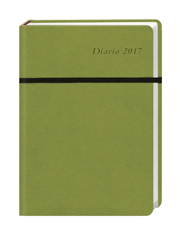 Diario klein grün 2017