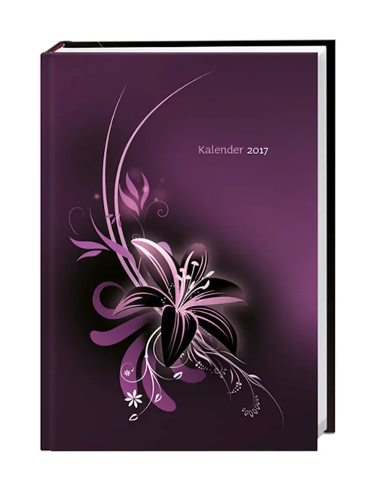 Ranke 17 Monatskalenderbuch A5 2017