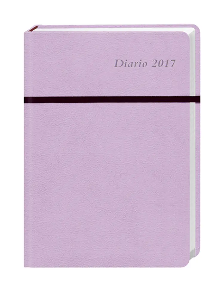 Diario 17 Monatskalenderbuch A6 pink 2017