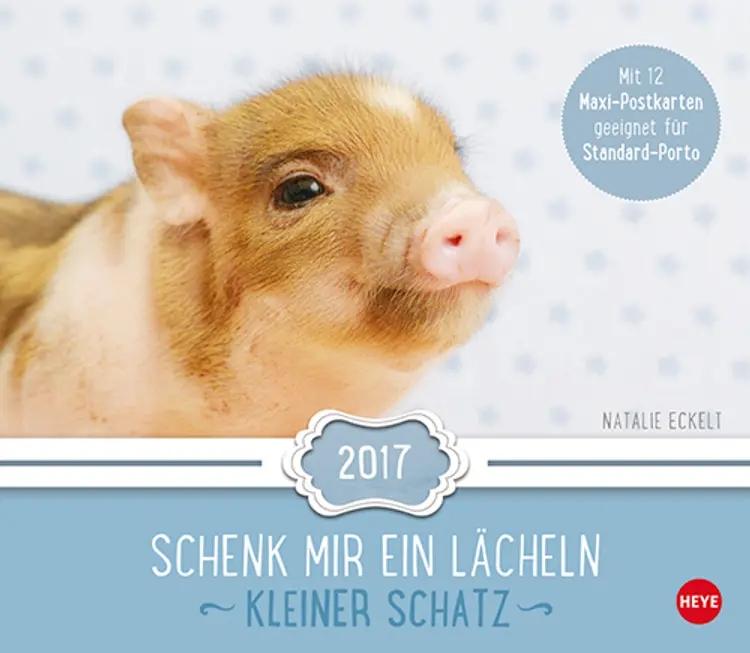 Kleiner Schatz Maxi Postkortkalender 2017