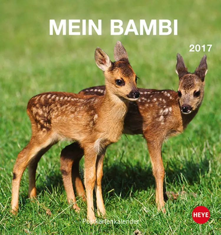Mein Bambi Postkortkalender 2017