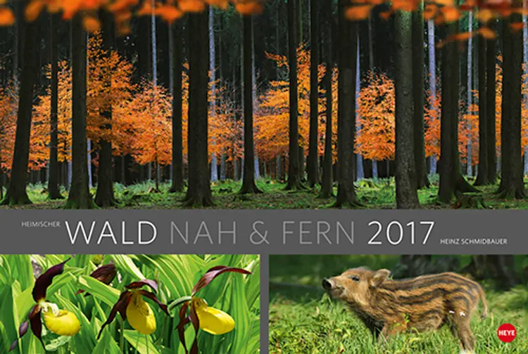 Wald nah und fern Edition 2017