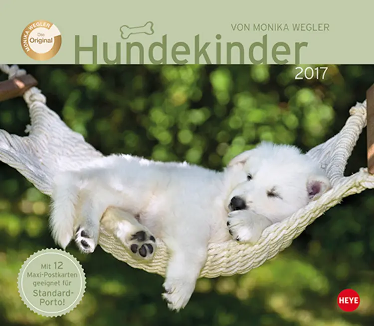 Hundekinder Maxi Postkortkalender 2017
