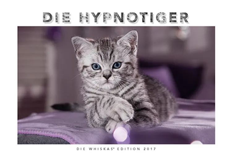 Whiskas Katzenkalender 2017