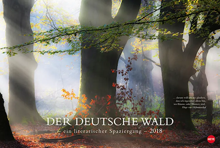 Der deutsche Wald Edition Kalender 2018