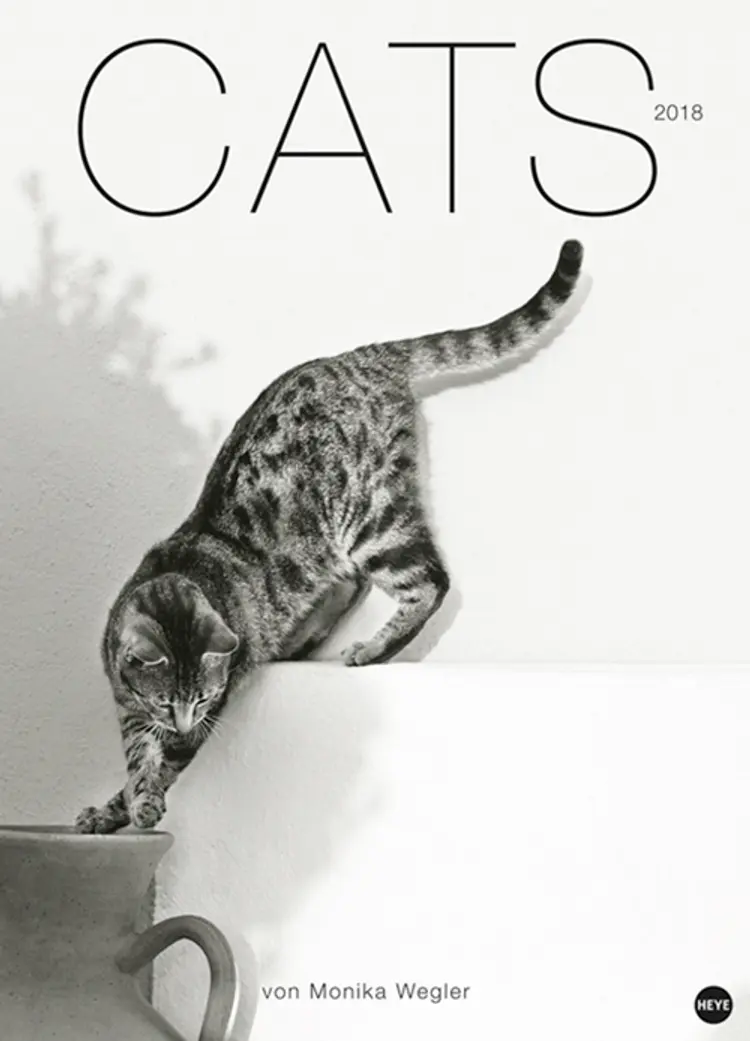Wegler Cats Edition Kalender 2018