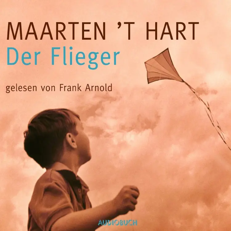 Der Flieger af Maarten 't Hart