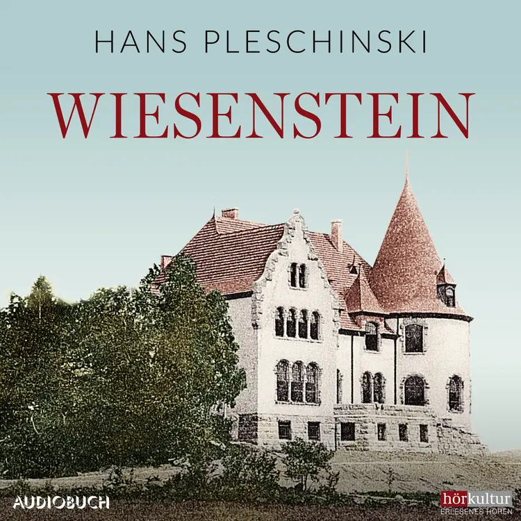 Wiesenstein af Hans Pleschinski