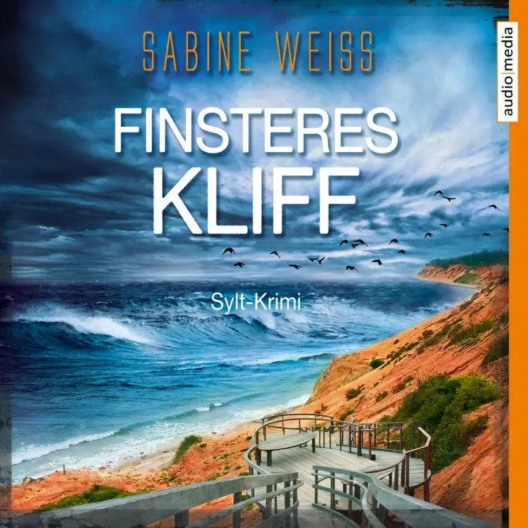 Finsteres Kliff af Sabine Weiß