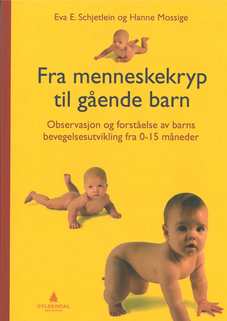 Fra menneskekryp til gående barn : observasjon og forståelse av barns bevegelsutvikling fra 0-15 måneder af Eva Elisabeth Schjetlein
