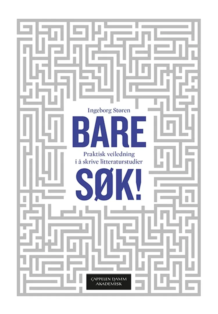 Bare søk! : veiledning i å gjennomføre litteraturstudier af Ingeborg Støren