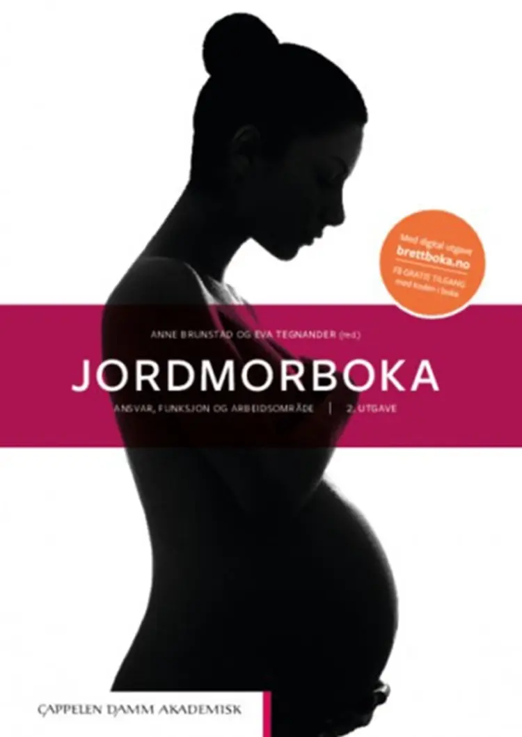 Jordmorboka : ansvar, funksjon og arbeidsområde af Anne Brunstad
