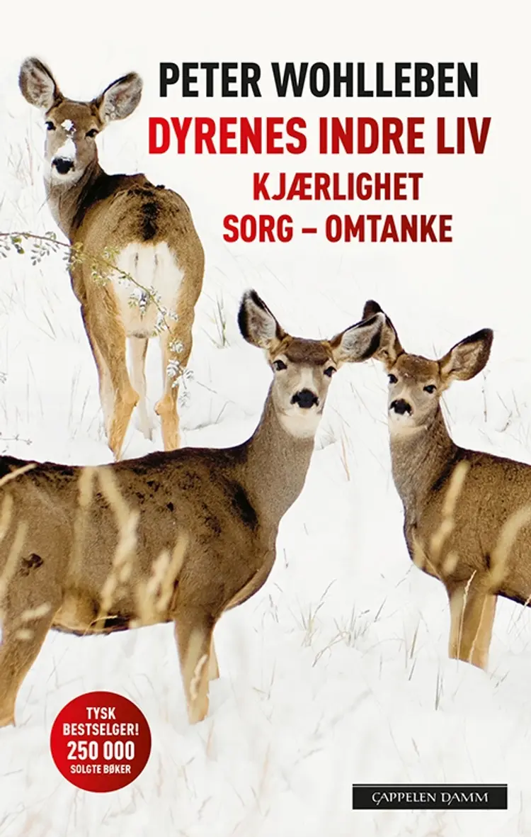 Dyrenes indre liv : kjærlighet, sorg, omtanek - Peter Wohlleben af Peter Wohlleben