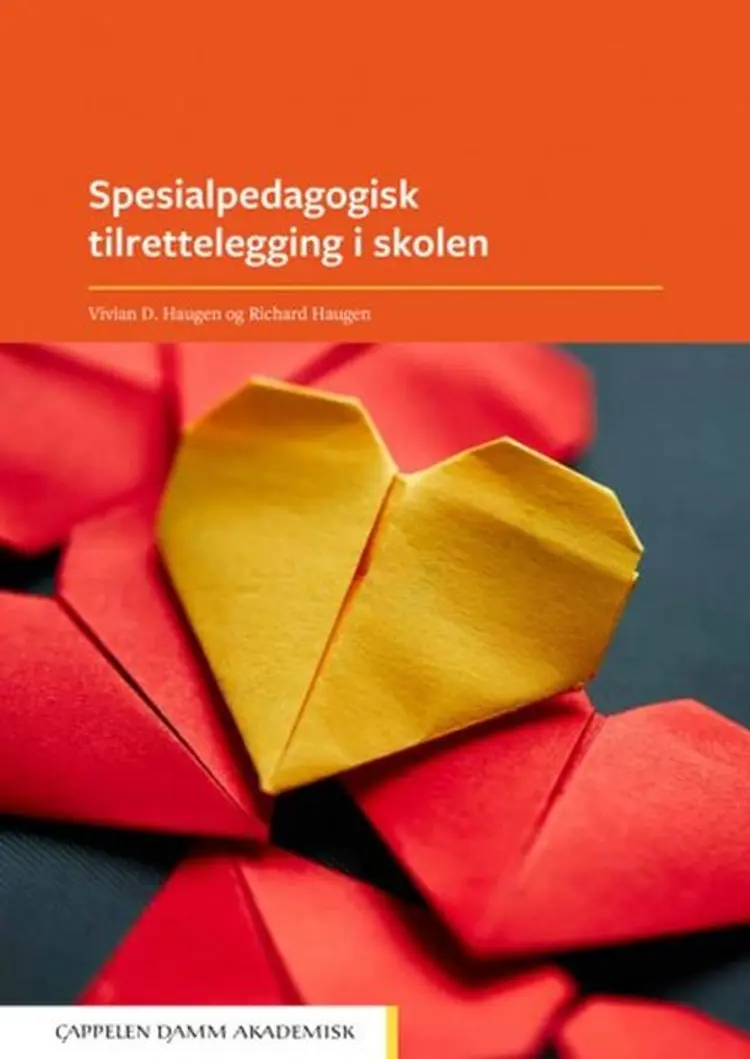Spesialpedagogisk tilrettelegging i skolen af Richard Haugen