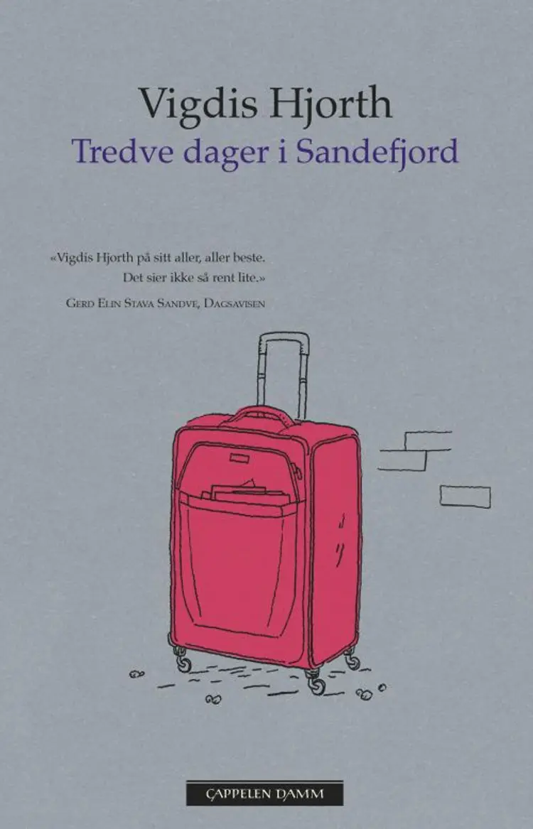Tredve dager i Sandefjord - Vigdis Hjorth af Vigdis Hjorth