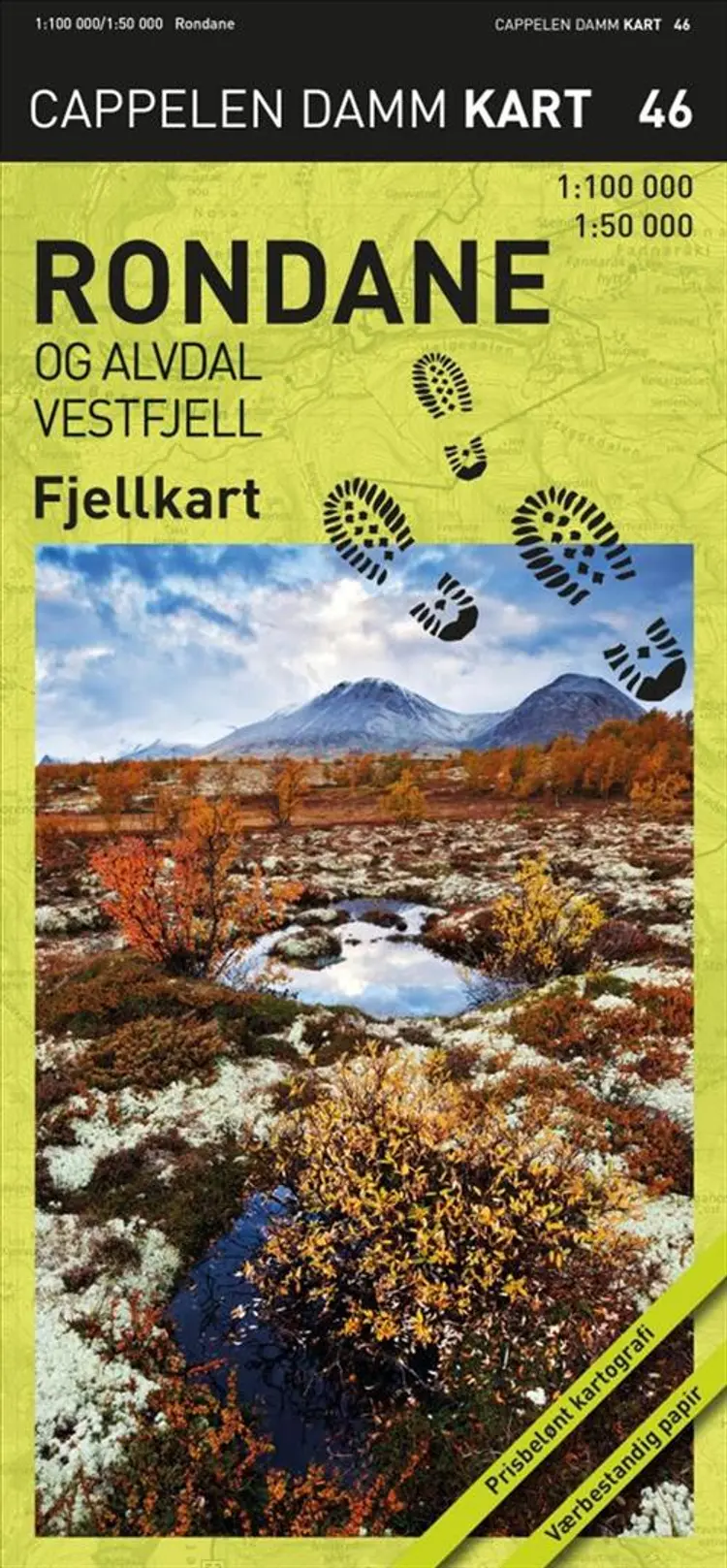 Rondane og Alvdal vestfjell : fjellkart af Cappelen Damm