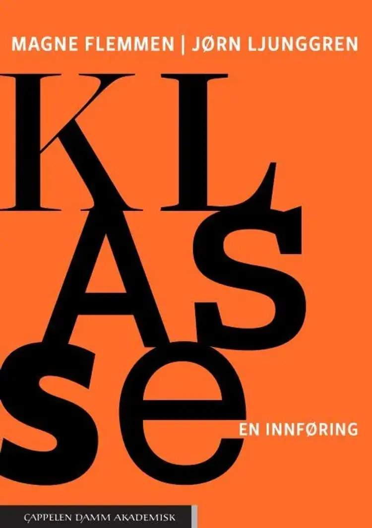 Klasse : en innføring af Magne Flemmen