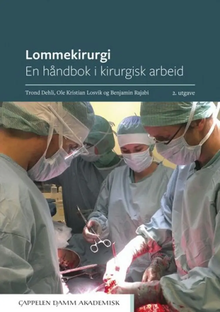 Lommekirurgi : en håndbok i kirurgisk arbeid (2. utg.) af Trond Dehli