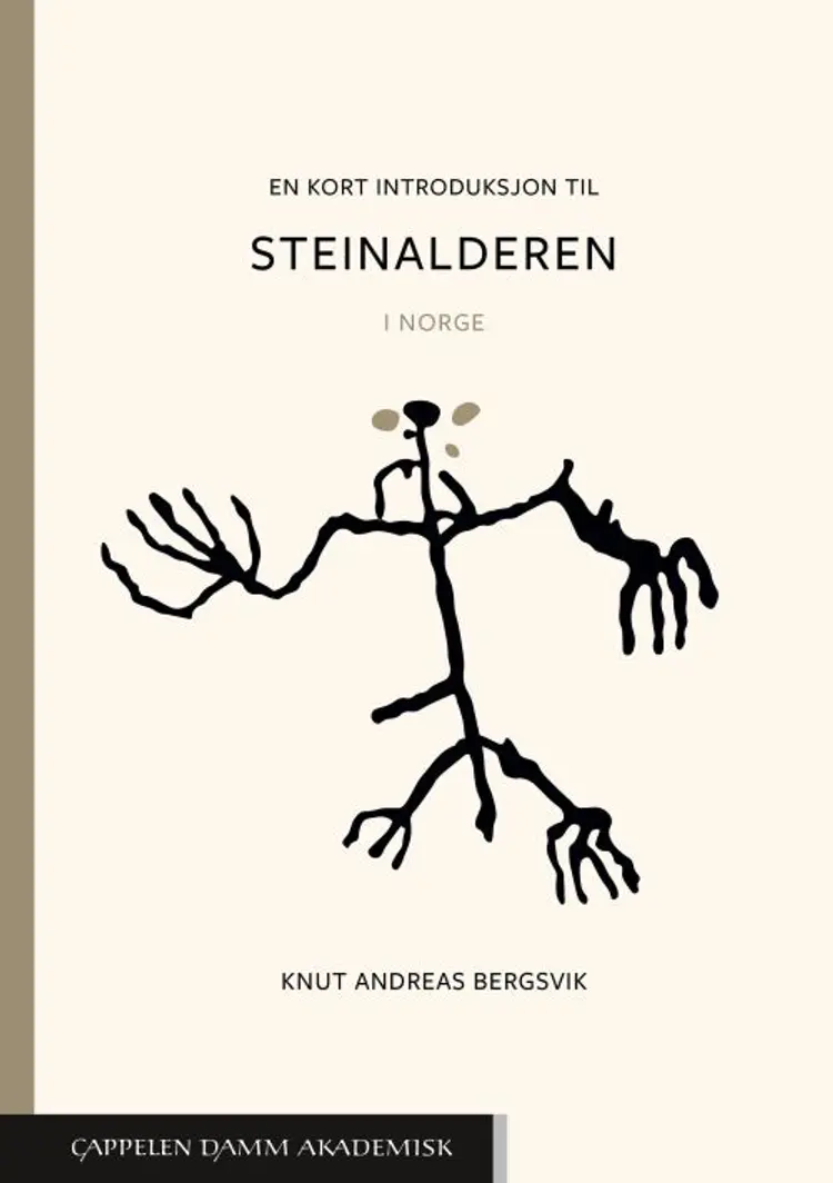 En kort introduksjon til steinalderen : i Norge - i Norge, Knut Andreas Bergsvik af Knut Andreas Bergsvik