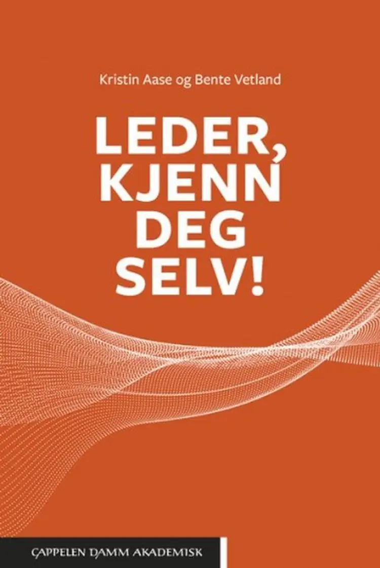 Leder, kjenn deg selv af Kristin Aase
