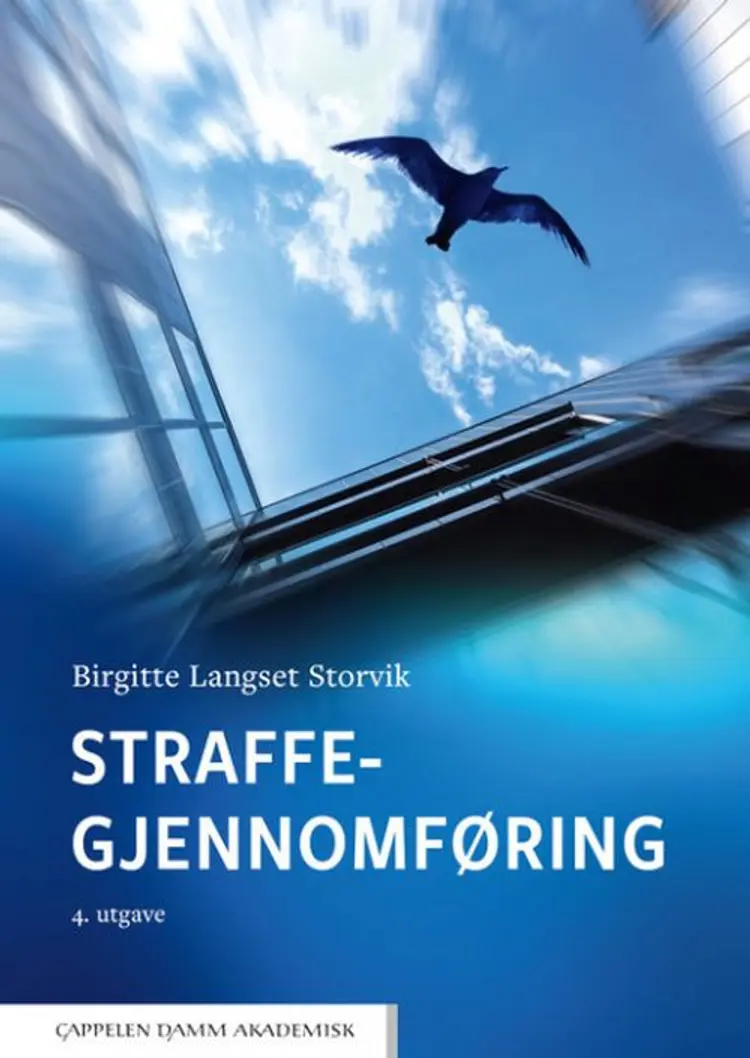 Straffegjennomføring - Birgitte Langset Storvik af Birgitte Langset Storvik