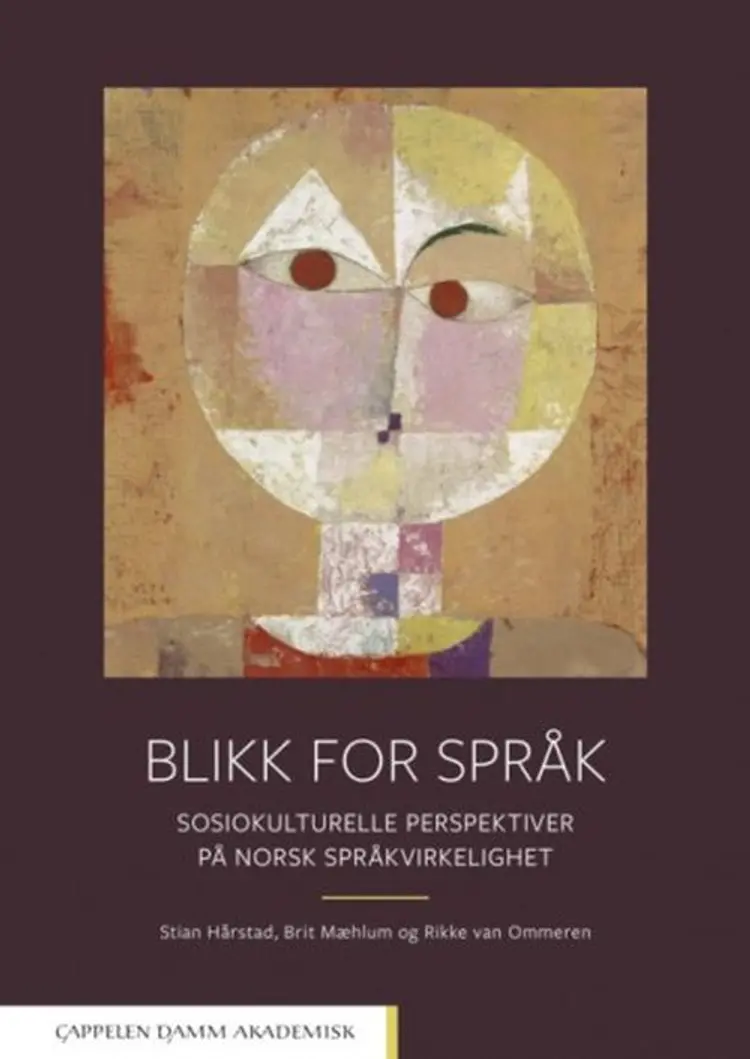 Blikk for språk : sosiokulturelle perspektiver på norsk språkvirkelighet af Stian Hårstad