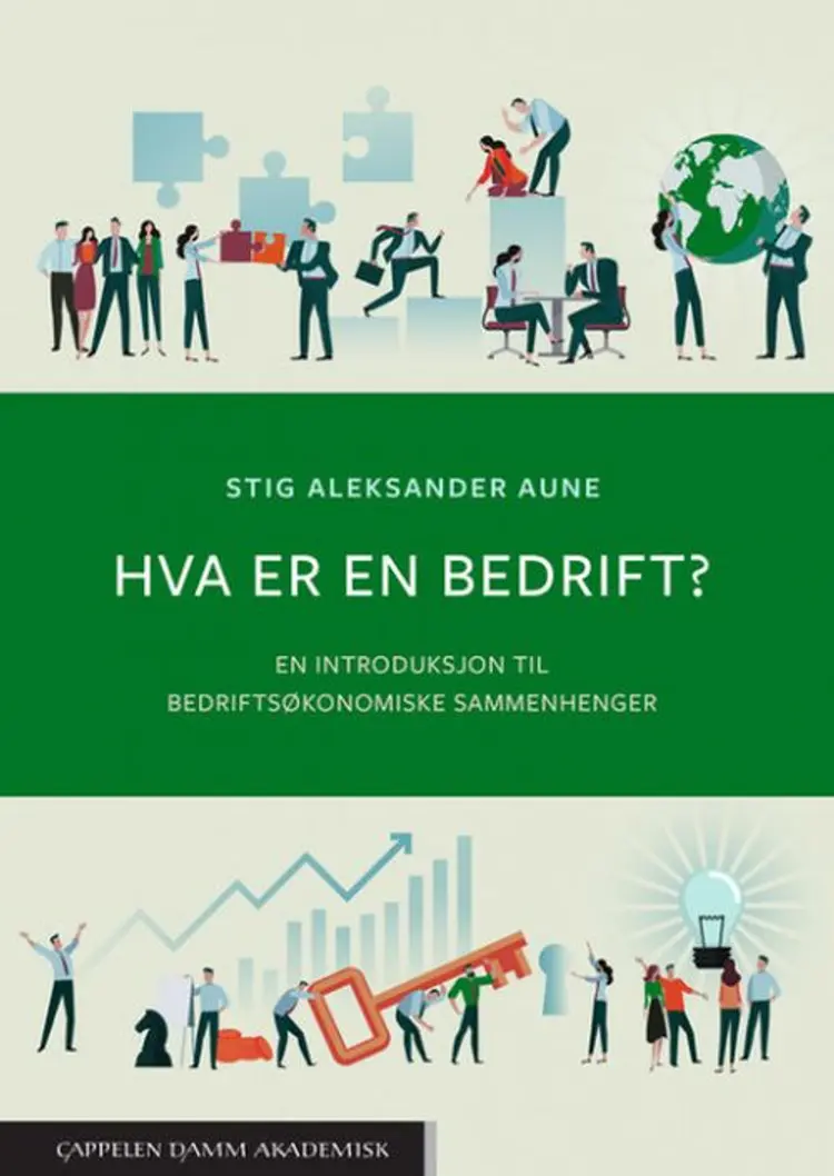 Hva er en bedrift? : en introduksjon til bedriftsøkonomiske sammenhenger af Stig Aleksander Aune