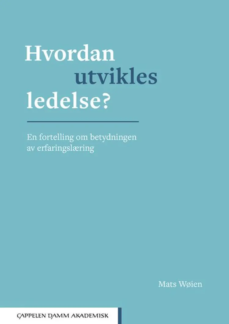 Hvordan utvikles ledelse : en fortelling om betydningen av erfaringslæring af Mats Wøien