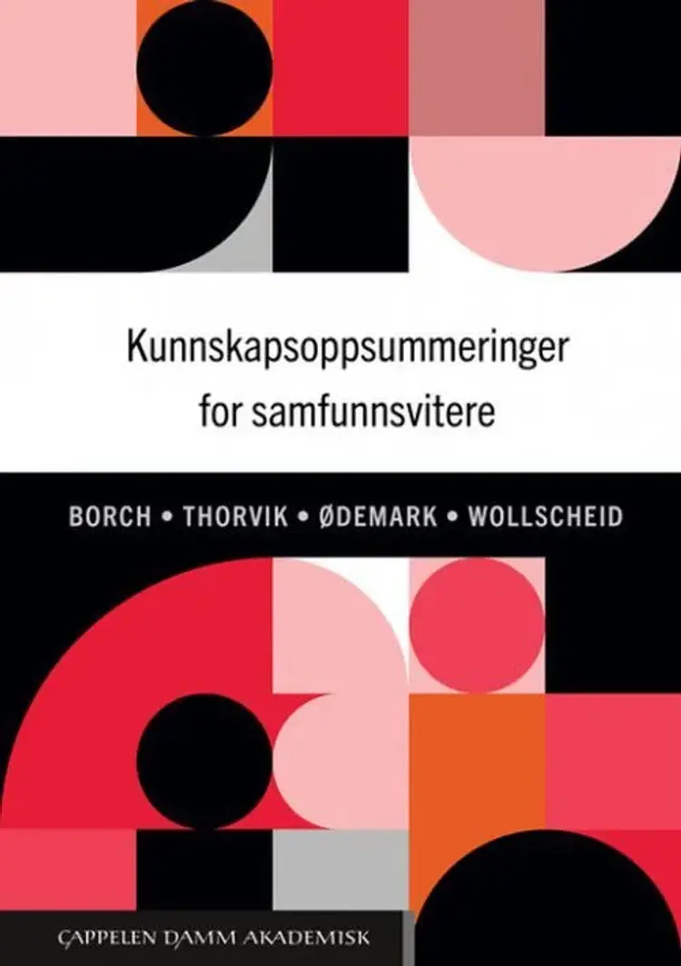 Kunnskapsoppsummeringer for samfunnsvitere af Anita Borch