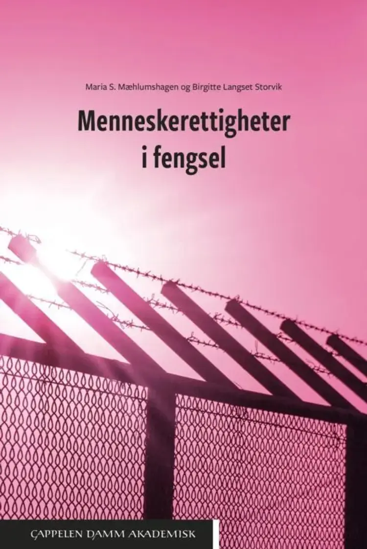 Menneskerettigheter i fengsel af Maria S. Mæhlumshagen