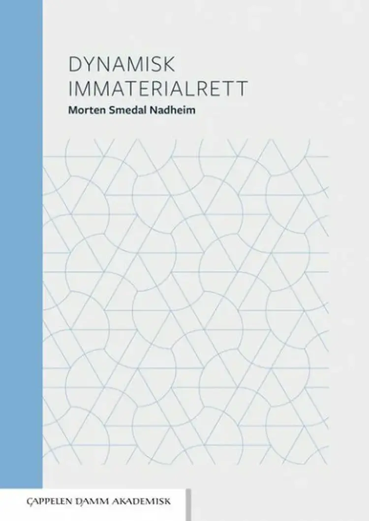 Dynamisk immatrialrett af Morten Smedal Nadheim