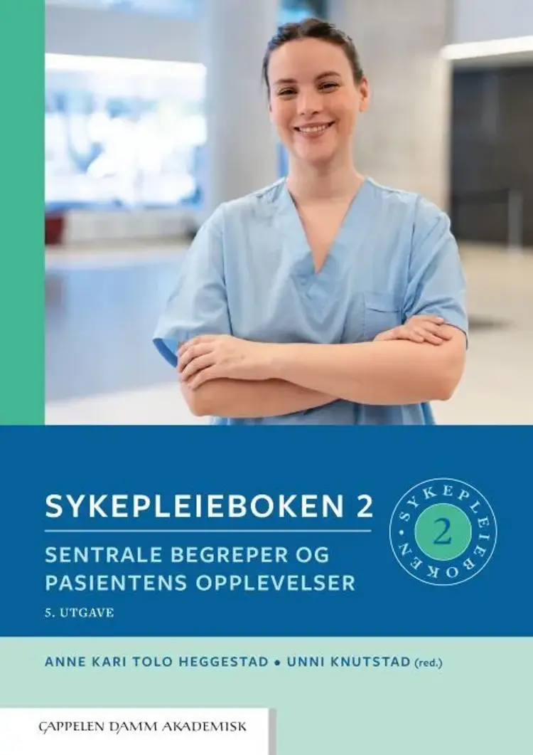 Sykepleieboken 2 : sentrale begreper og pasientens opplevelser af Anne Kari Tolo Heggestad