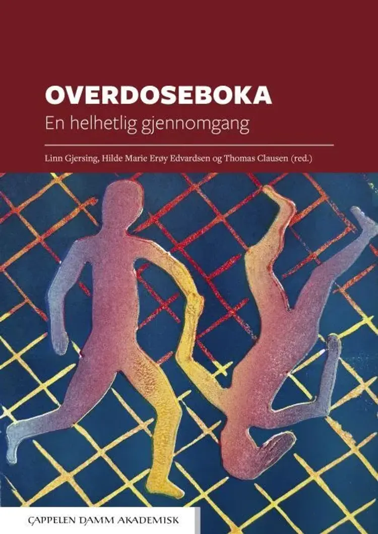 Overdoseboka : en helhetlig gjennomgang af Linn Gjersing