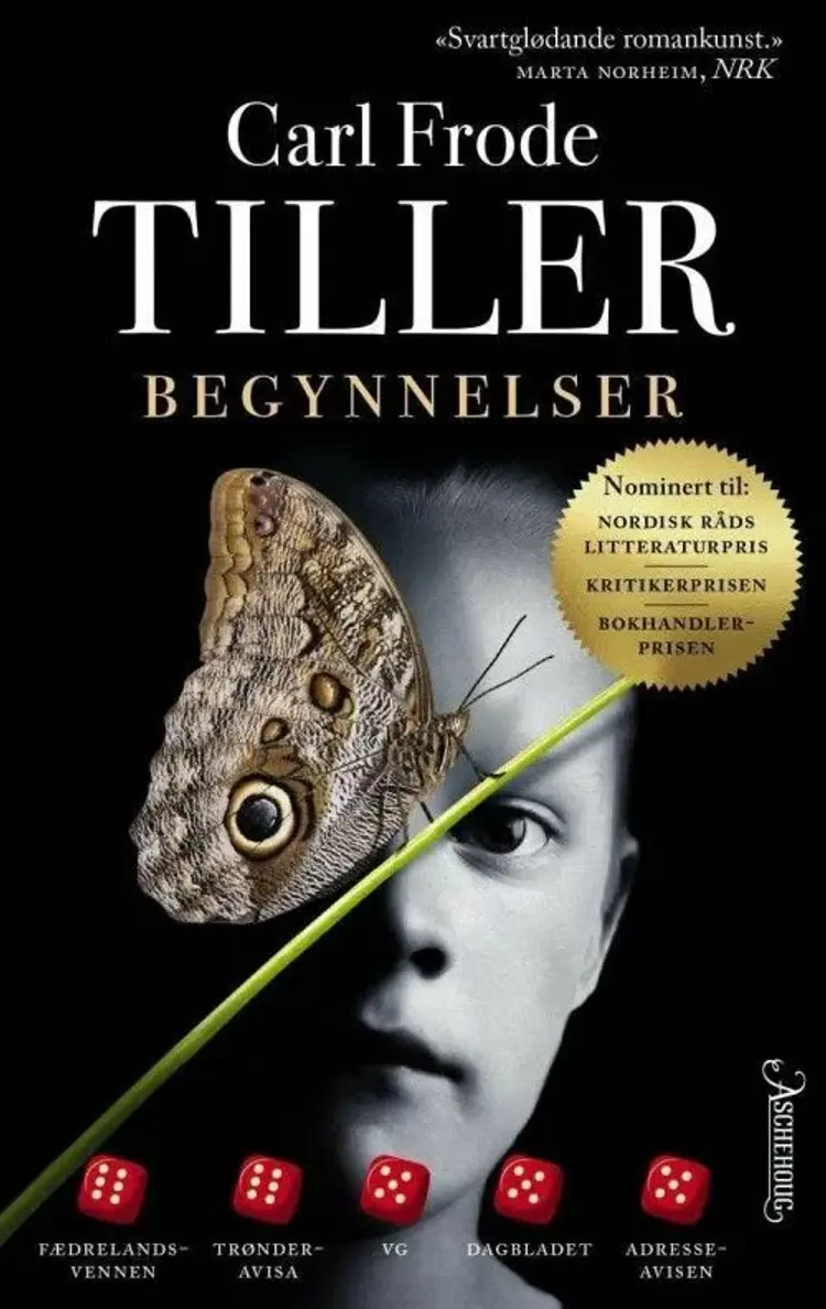 Begynnelser : roman af Carl Frode Tiller