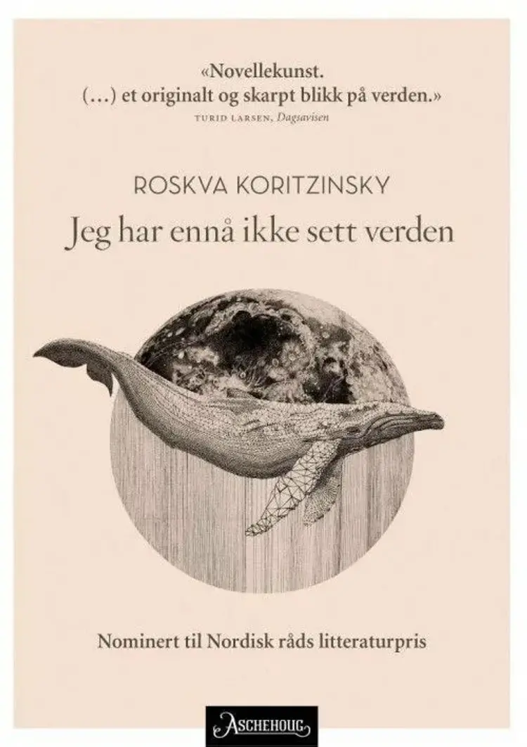Jeg har ennå ikke sett verden : noveller af Roskva Koritzinsky