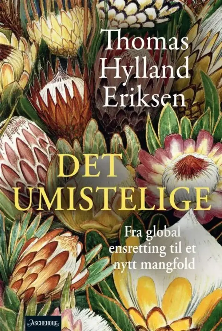 Det umistelilge : fra global ensretting til et nytt mangfold - fra global ensretting til et nytt mangfold, Thomas Hylland Eriksen af Thomas Hylland Eriksen
