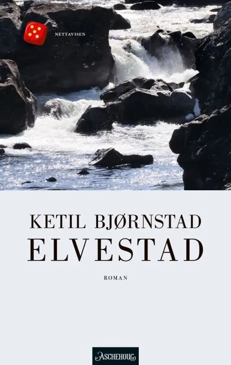 Elvestad : roman af Ketil Bjørnstad