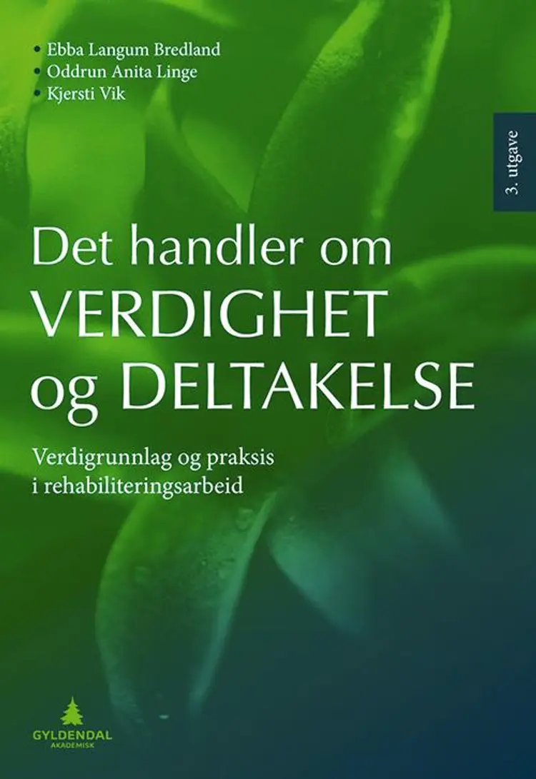 Det handler om verdighet og deltakelse : verdigrunnlag og praksis i rehabiliteringsarbeid af Ebba Langum Bredland