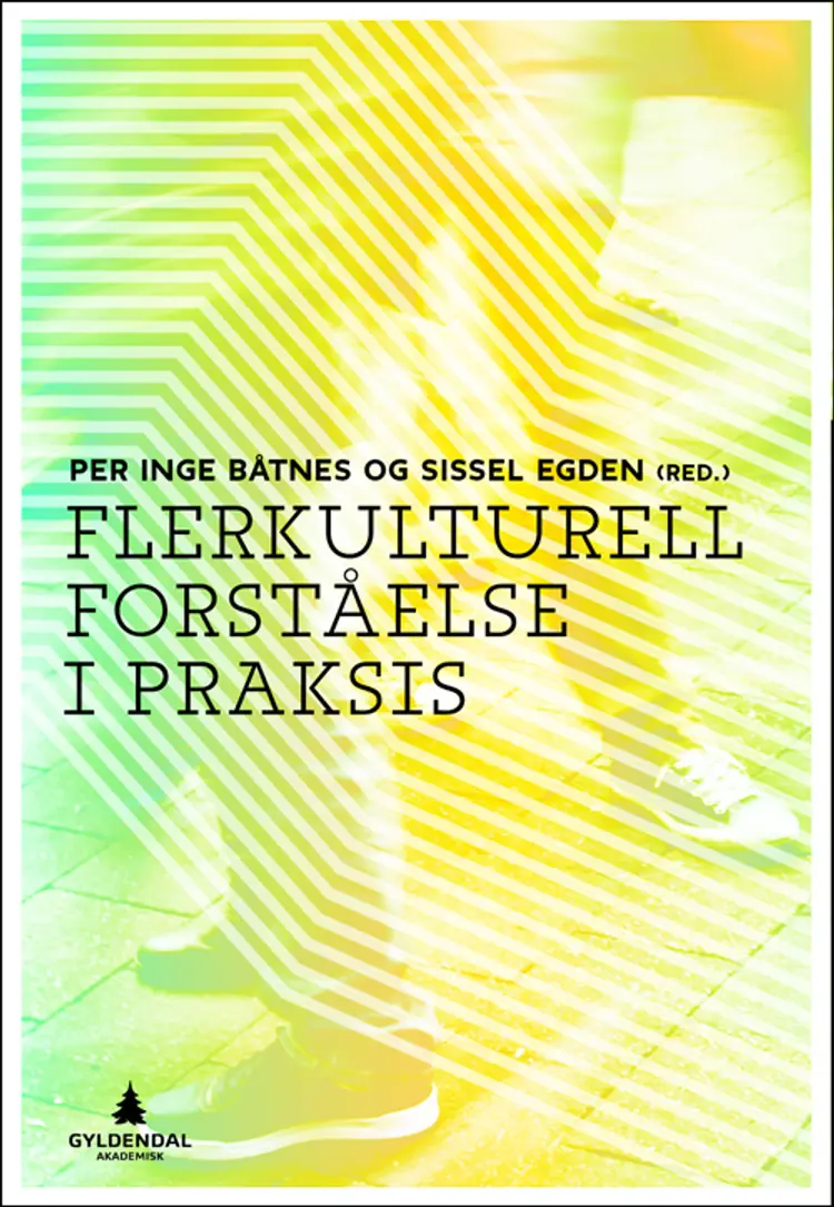 Flerkulturell forståelse i praksis af Per Inge Båtnes