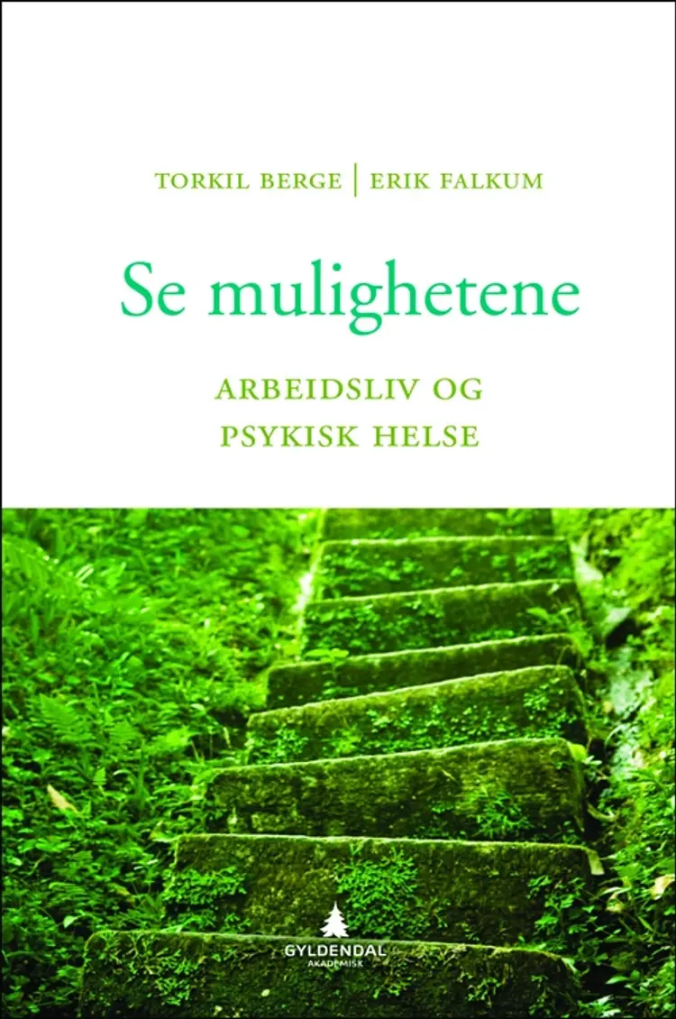 Se mulighetene : arbeidsliv og psykisk helse af Torkil Berge