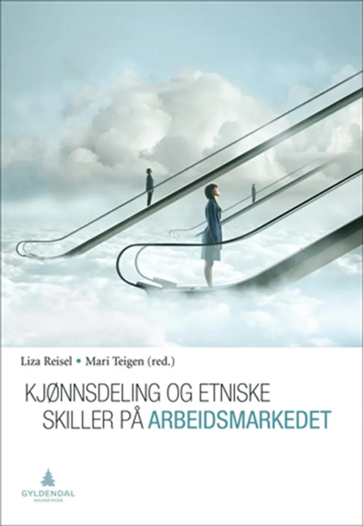 Kjønnsdeling og etniske skiller på arbeidsmarkedet af Liza Reisel