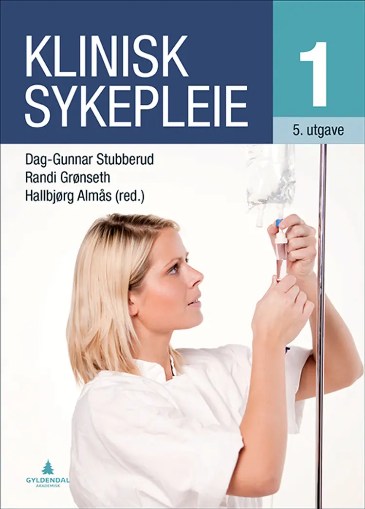 Klinisk sykepleie 1 af Dag Gunnar Stubberud