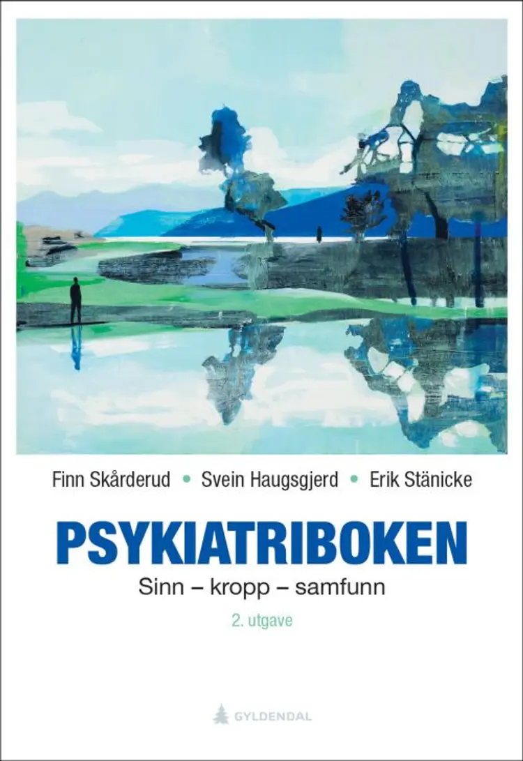 Psykiatriboken : sinn - kropp - samfunn - Erik Stänicke, Svein Haugsgjerd, Finn Skårderud af Finn Skårderud