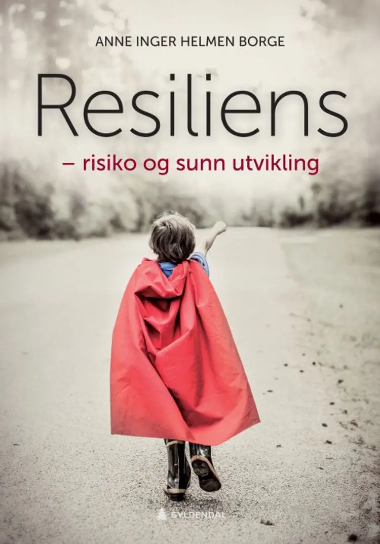 Resiliens : risiko og sunn utvikling - Anne Inger Helmen Borge af Anne Inger Helmen Borge