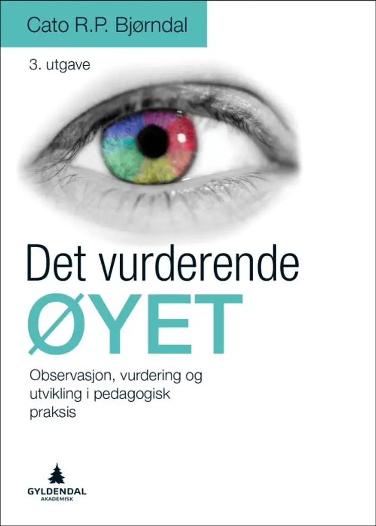 Det vurderende øyet : observssjon, vurdering og utvikling i pedagogisk praksis af Cato R.P. Bjørndal