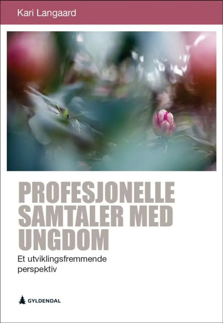 Profesjonelle samtaler med ungdom : et utviklingsfremmende perspektiv - Kari Langaard af Kari Langaard