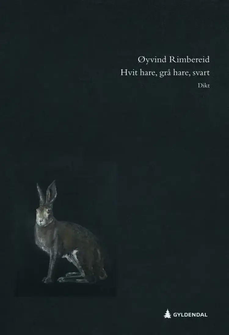 Hvit hare, grå hare, svart af Øyvind Rimbereid