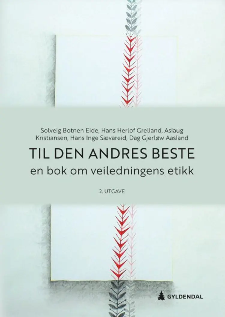 Til den andres beste : en bok om veiledningens etikk af Solveig Botnen Eide