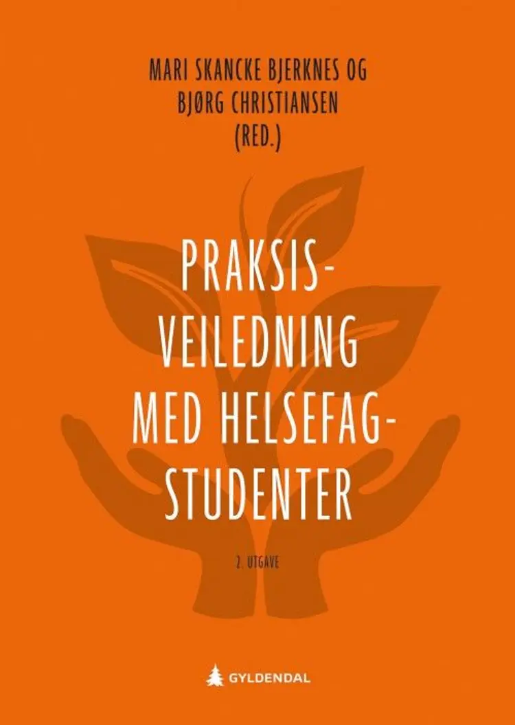 Praksisveiledning med helsefagstudenter af Mari Skancke Bjerknes
