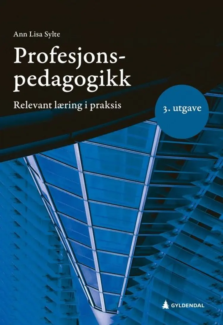 Profesjonspedagogikk : relevant læring i praksis af Ann Lisa Sylte